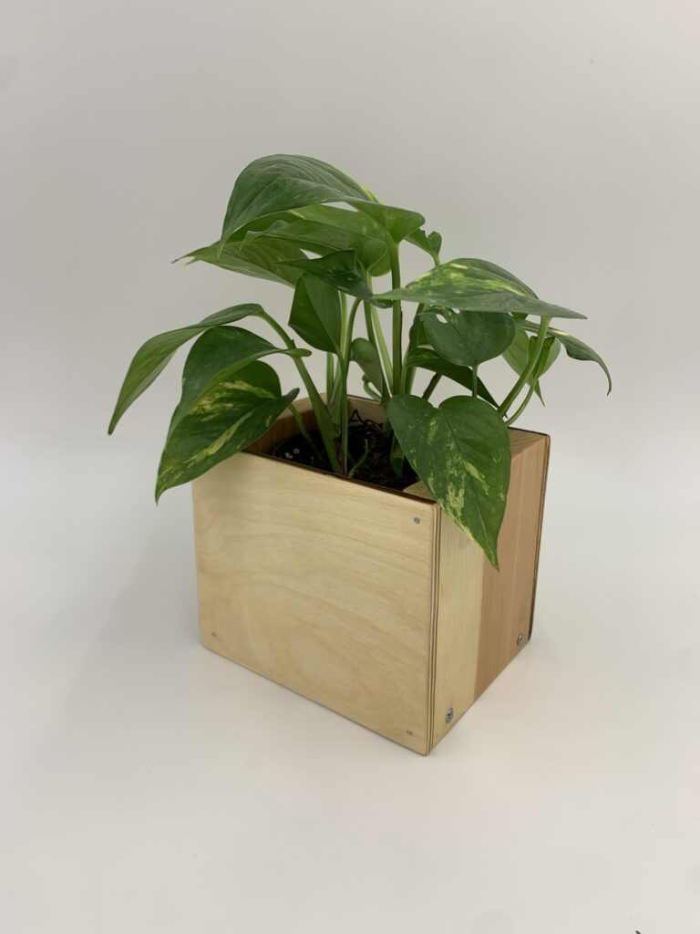 Flower Pot Made in Hand Tools Training